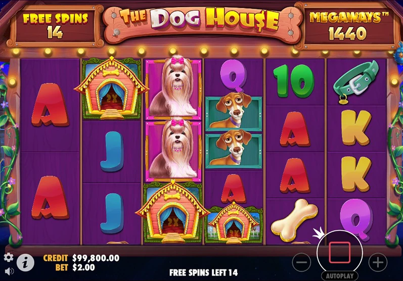 Le jeu The Dog House Megaways