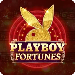 Playboy Fortunes